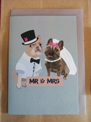 Mrs french bulldog - mr,