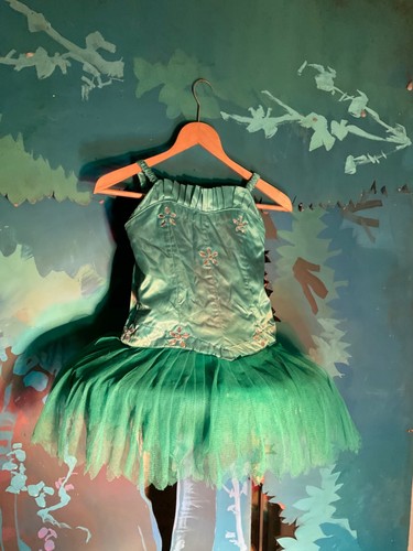 Pantomime costume fairy ballet - costume,