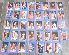 39 x 1991 WWF Classic