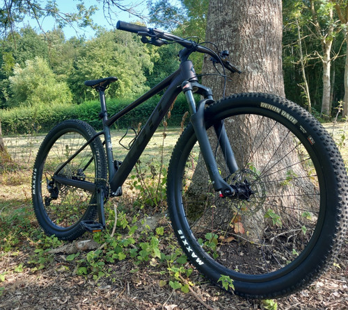 Scott scale 980 29er hardtail - scott,
