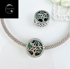 Sterling Silver 925 Charm