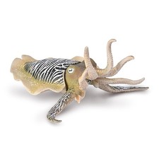 CollectA Common Cuttlefish