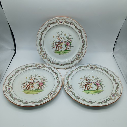 Antique copeland late spode - antique,