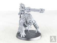 (4719) Krootox Rider Kroot T'au Tau Empire 40k Warhammer