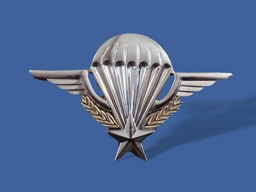French military jump - jump, wings