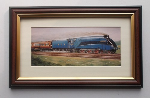 Railway prints mallard - railway,