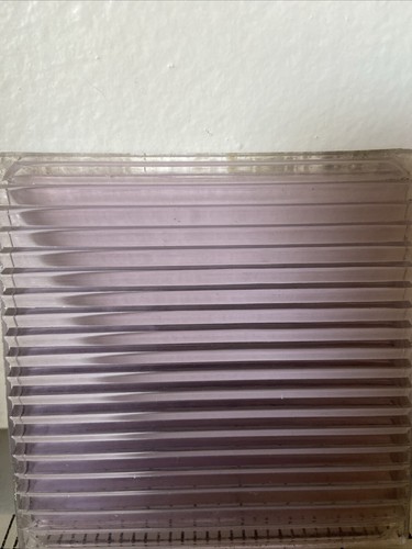 Six glass purple tinted - glass,