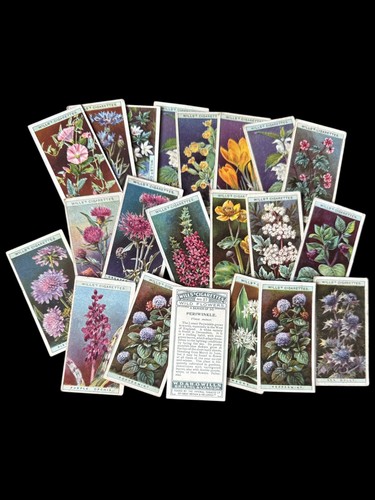 Wills cigarette cards wild - wills,