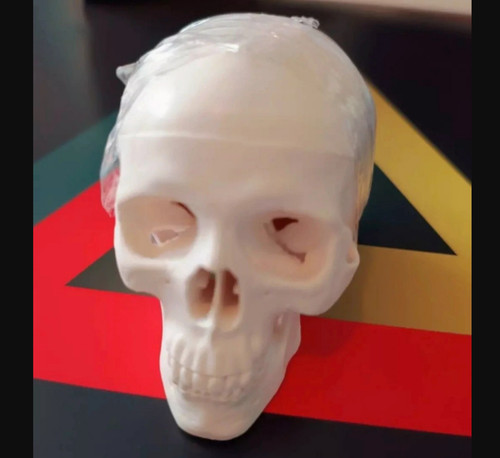 Mini human skull model - ,