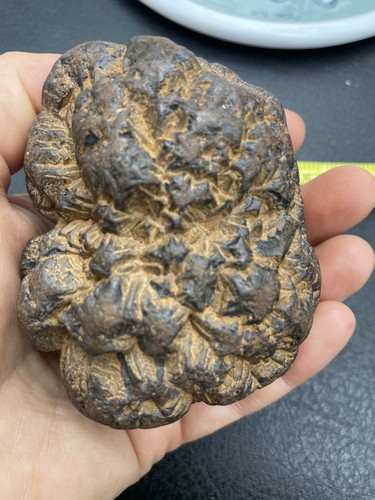 Iron pyrite nodule from seven - pyrite,