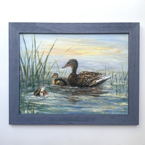 Original mallard duck and - original,