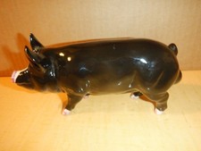 BESWICK PIG,BERKSHIRE BOAR