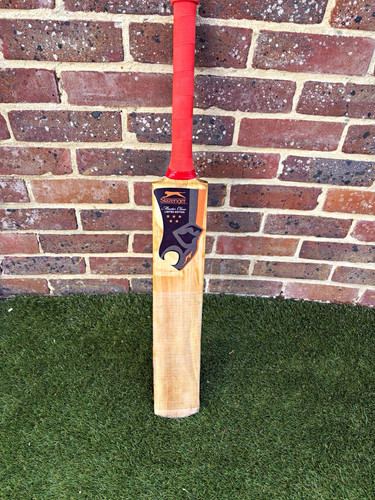 Slazenger v200 kasmir willow - slazenger,