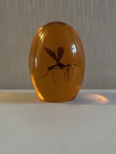 Jurassic Park Mosquito In