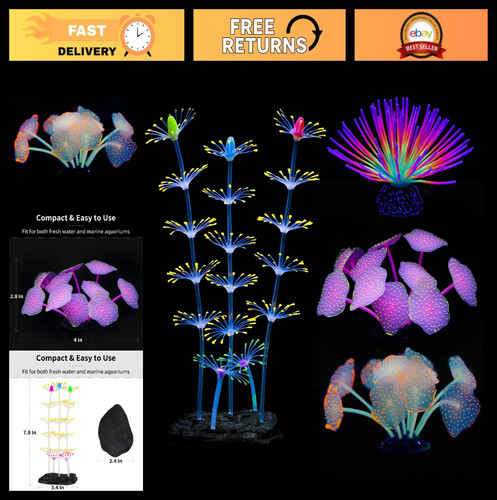 Colorful artificial sea urchin - sea,
