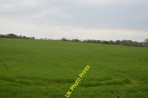 Photo 6x4 pasture - pasture, land