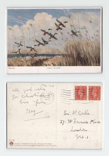 Vintage postcard peter scott - peter,