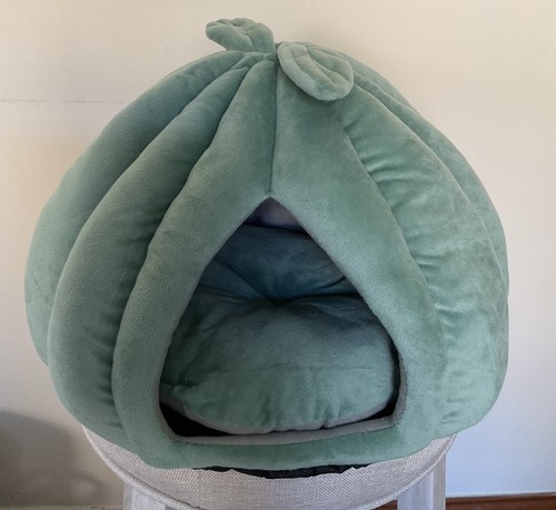 Pumpkin gourd cute small - ,