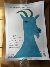 David Shrigley Capricorn