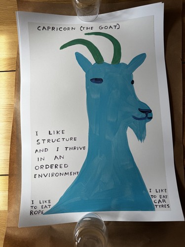 David shrigley capricorn - shrigley,