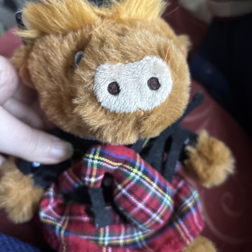 Highland cow pride - pride, of