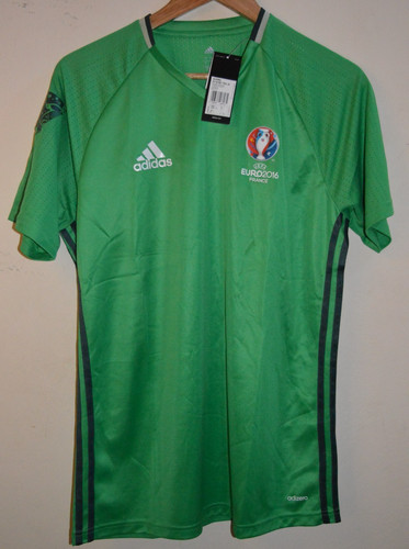 Euro 2016 green football - euro,