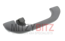 Roof Grab Handle With Coat