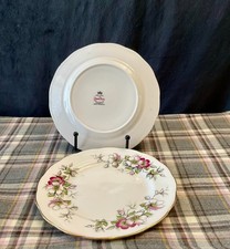 QUEEN ANNE FINE BONE CHINA OLD COUNTRY SPRAY x2 plates 16cm A746