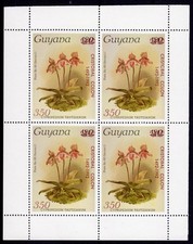 Guyana 1985 Sc#1372 ORCHIDS