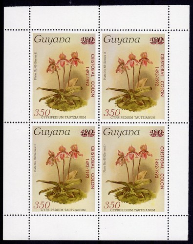 Guyana 1985 1372 orchids - guyana, sc#1372