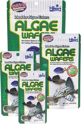 Hikari algae wafer - algae, catfish