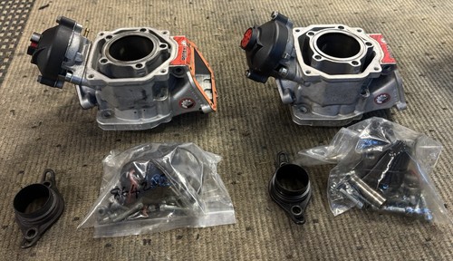 Rotax max evo cylinders - rotax,