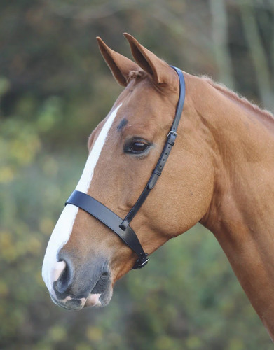 Black hunter cavesson noseband - black,