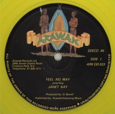 Janet Kay - Feel No Way (12") (Very Good (VG)) - 3765309576