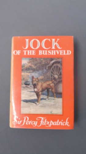 Jock the bushveld - jock,