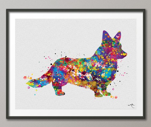 Cardigan welsh corgi - cardigan,