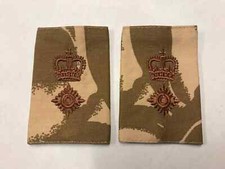 Pair of Official Desert DPM