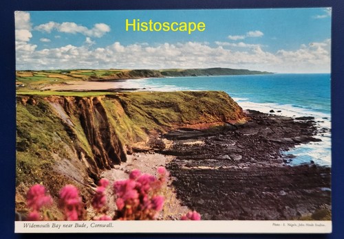 Postcard unused widemouth bay - postcard,