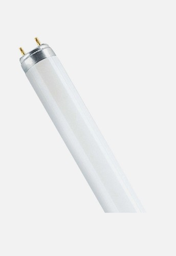 Premium crompton 15w - 15w, t8