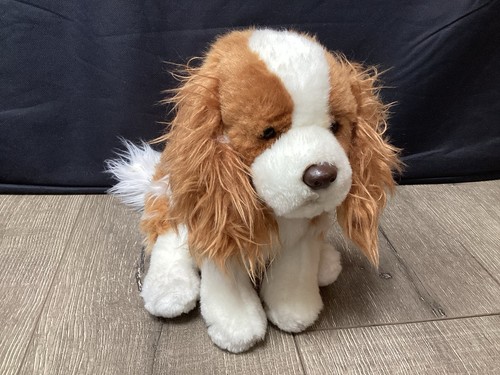 Teddy hermann king charles - king,