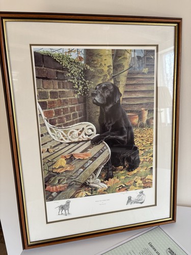 Framed mounted limited edition - mounted,