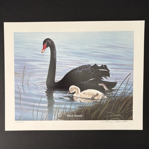 Larry chandler black swan - chandler,