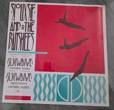 Siouxsie And The  Banshees