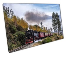 Vintage Mountain Steam Train