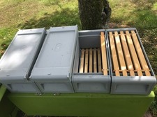 Omlet Beehaus Beehive with