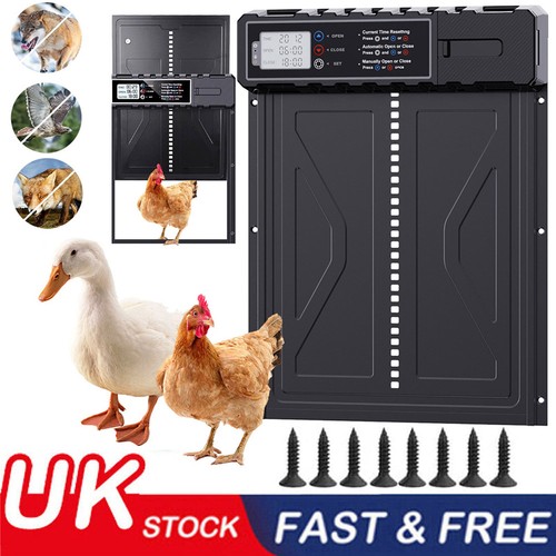 Automatic chicken duck - duck, goose
