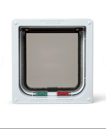 Closer pets cat mate - pets,