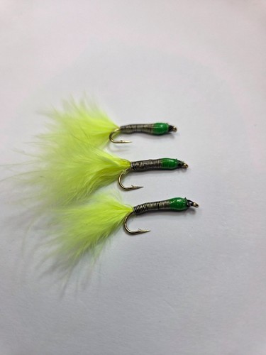 Green stalking bug fly - 3,