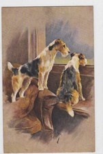 Collectable Artist Signed
