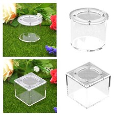 Reptile Breeding Box Spider